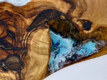 Load image into Gallery viewer, Olivewood Turtle Charcuterie Board