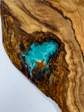 Load image into Gallery viewer, Olivewood Turtle Charcuterie Board